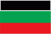 tn_bu-flag