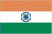 tn_in-flag